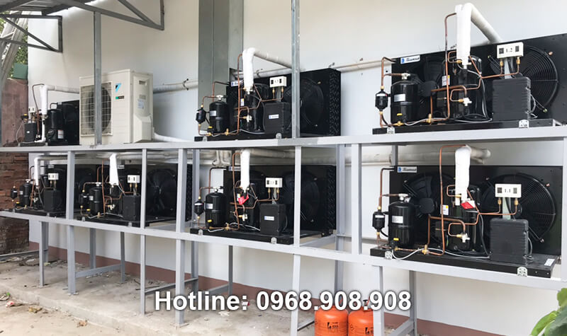 công trình kho lạnh bảo quản vacxin