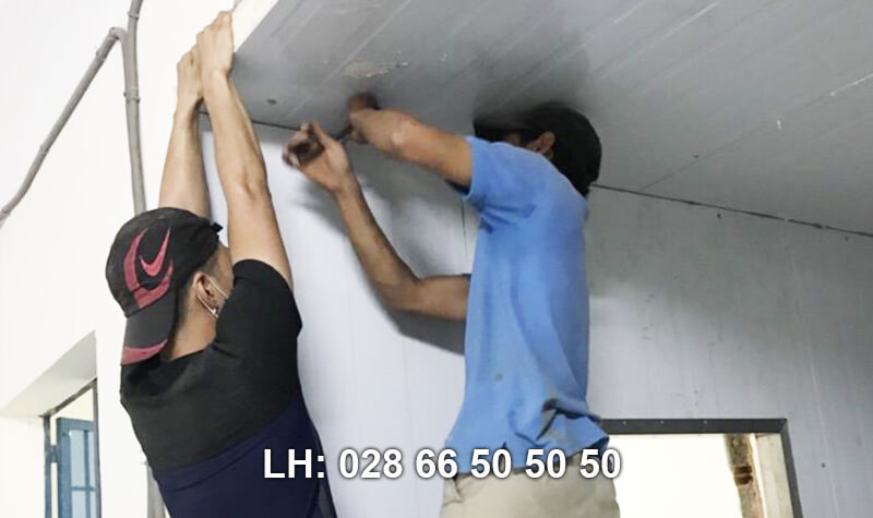 lắp đặt kho lạnh bảo quản thịt heo rừng